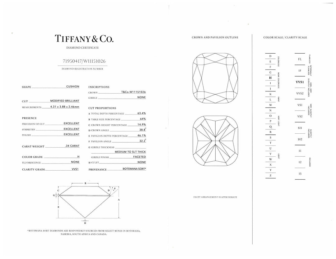 Tiffany & Co. Platinum Cushion Double Soleste 0.95ct TW Stud Earrings HVVS1