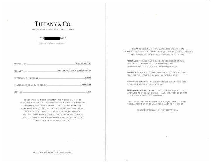 Tiffany & Co. Soleste Oval .88 cts total Diamond Engagement Ring Platinum H VVS2