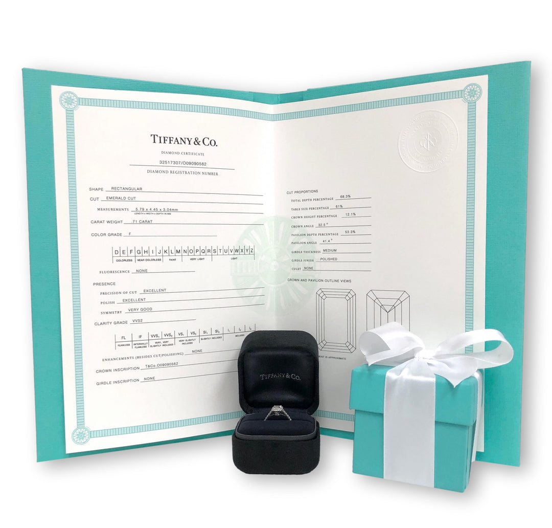 Tiffany & Co. Platinum Soleste Emerald Cut Halo Engagement Ring .97 cts Ttl. FVVS2 Diamond Band