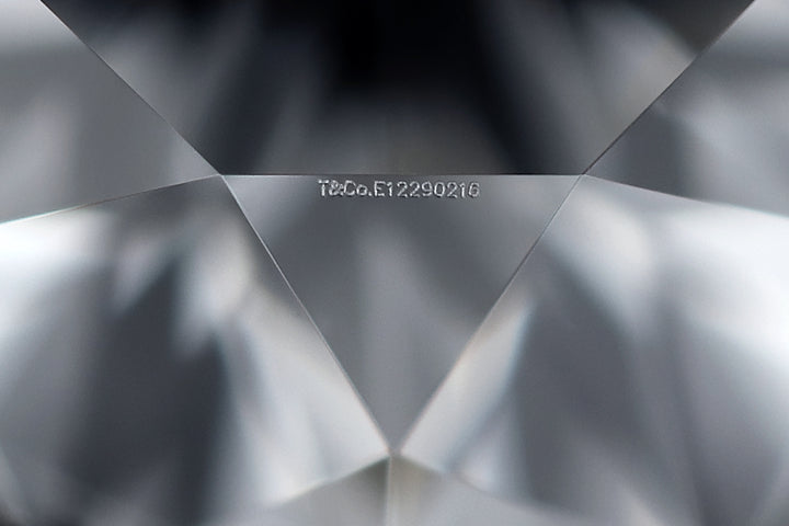 Tiffany and Co. Etoile Platinum Round Diamond Engagement Ring .30ct FVVS1