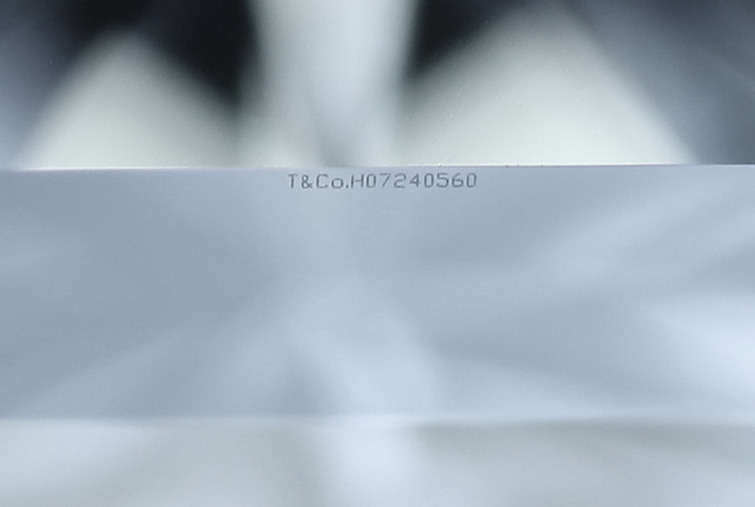 Tiffany & Co. Platinum Lucida Diamond Stud Earrings .90 cts TW G-H VVS