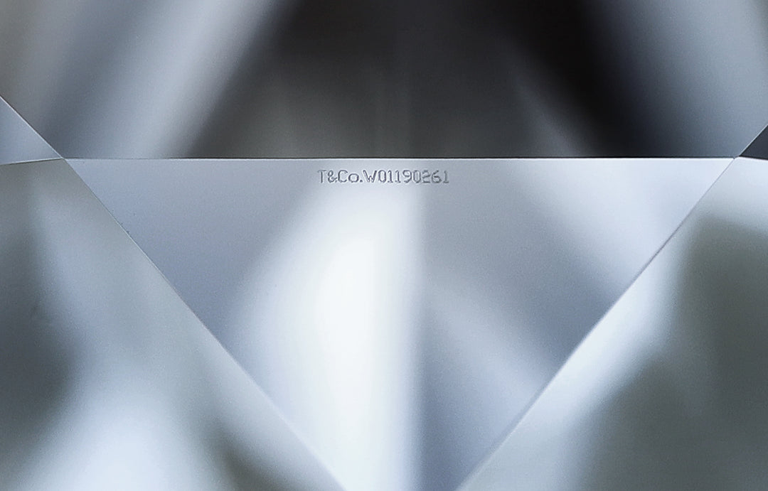 Tiffany & Co. Platinum Round Diamond Solitaire Engagement Ring 3.24 Ct IVS1