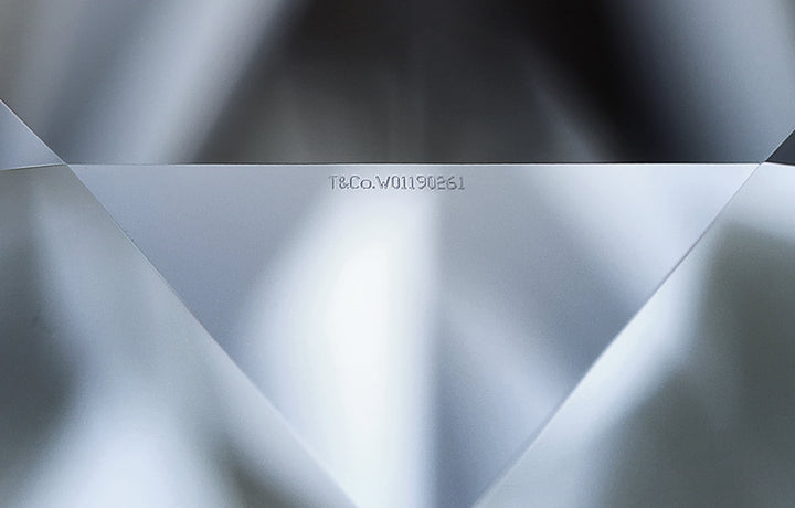 Tiffany & Co. Platinum Round Diamond Solitaire Engagement Ring 3.24 Ct IVS1