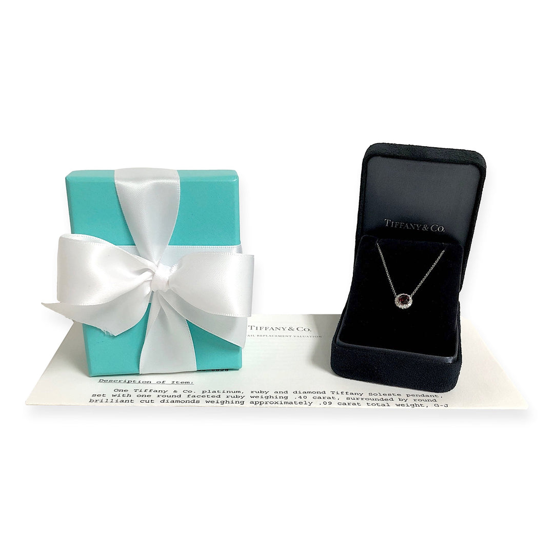 Tiffany & Co. Platinum Soleste Round Ruby and Diamond Pendant 16" Long