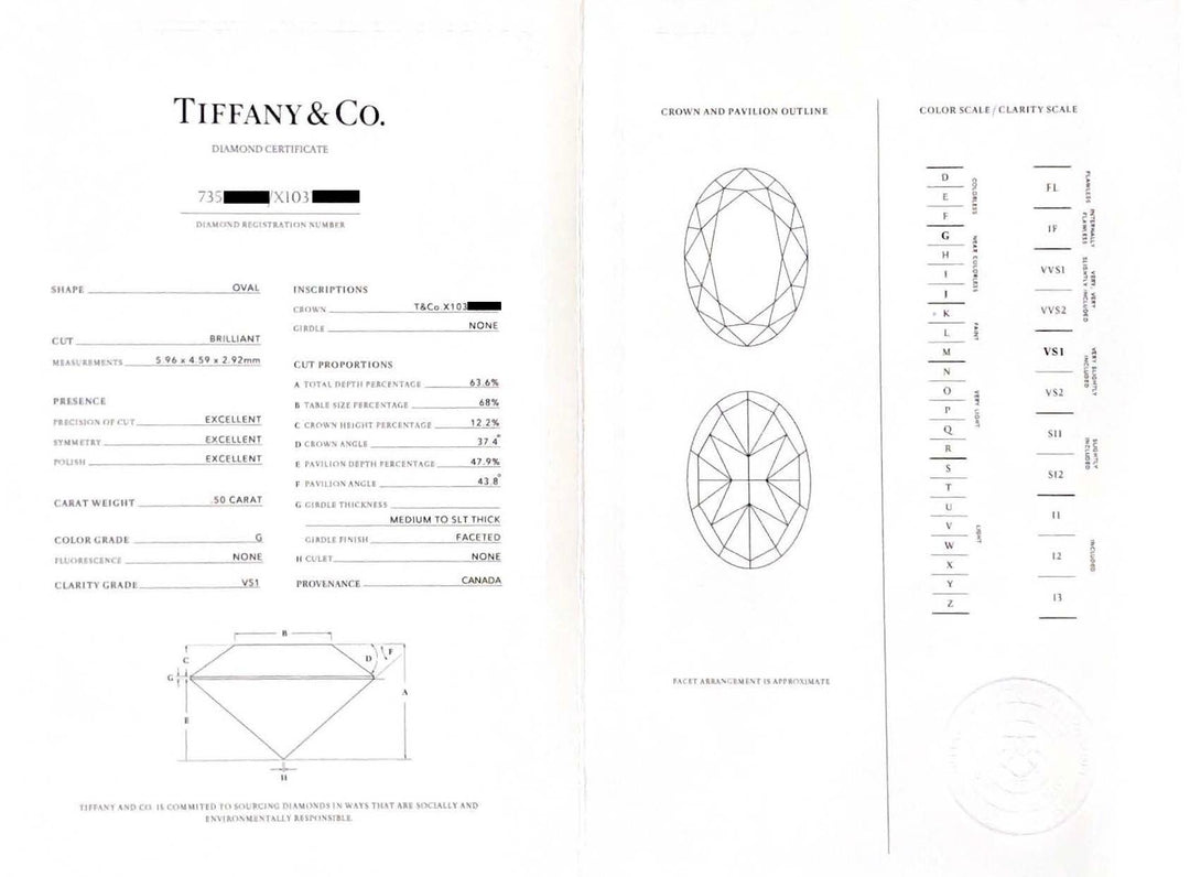 Tiffany & Co Platinum Soleste 0.50 Ct. Center Oval Diamond Engagement Ring G VS1