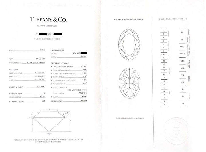 Tiffany & Co Platinum Soleste 0.50 Ct. Center Oval Diamond Engagement Ring G VS1