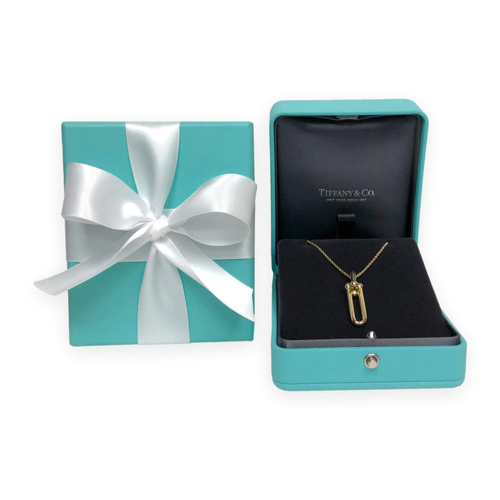 Tiffany & Co. 18K Yellow Gold HardWear Elongated Link Pendant Necklace – Large