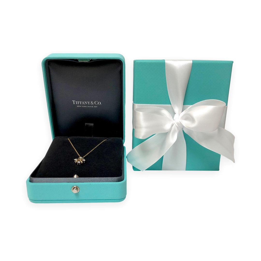 Tiffany & Co. Jean Schlumberger 16 Stone Lynn Pendant Necklace Platinum 18KY