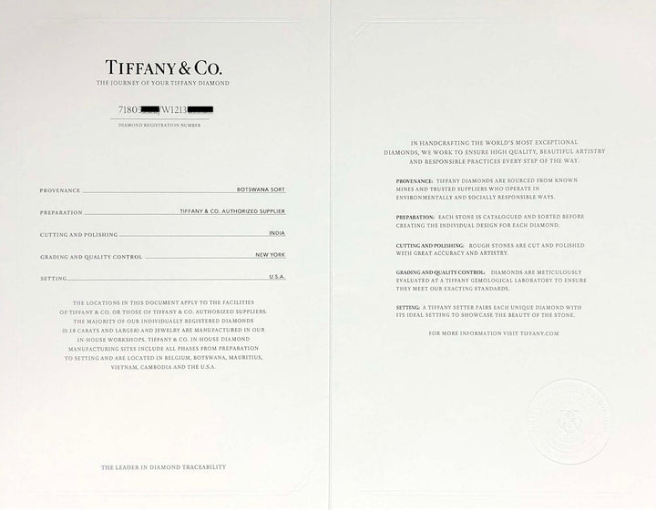 Tiffany & Co. Platinum 1.02 ct G VS1 Round Diamond Solitaire Engagement Ring