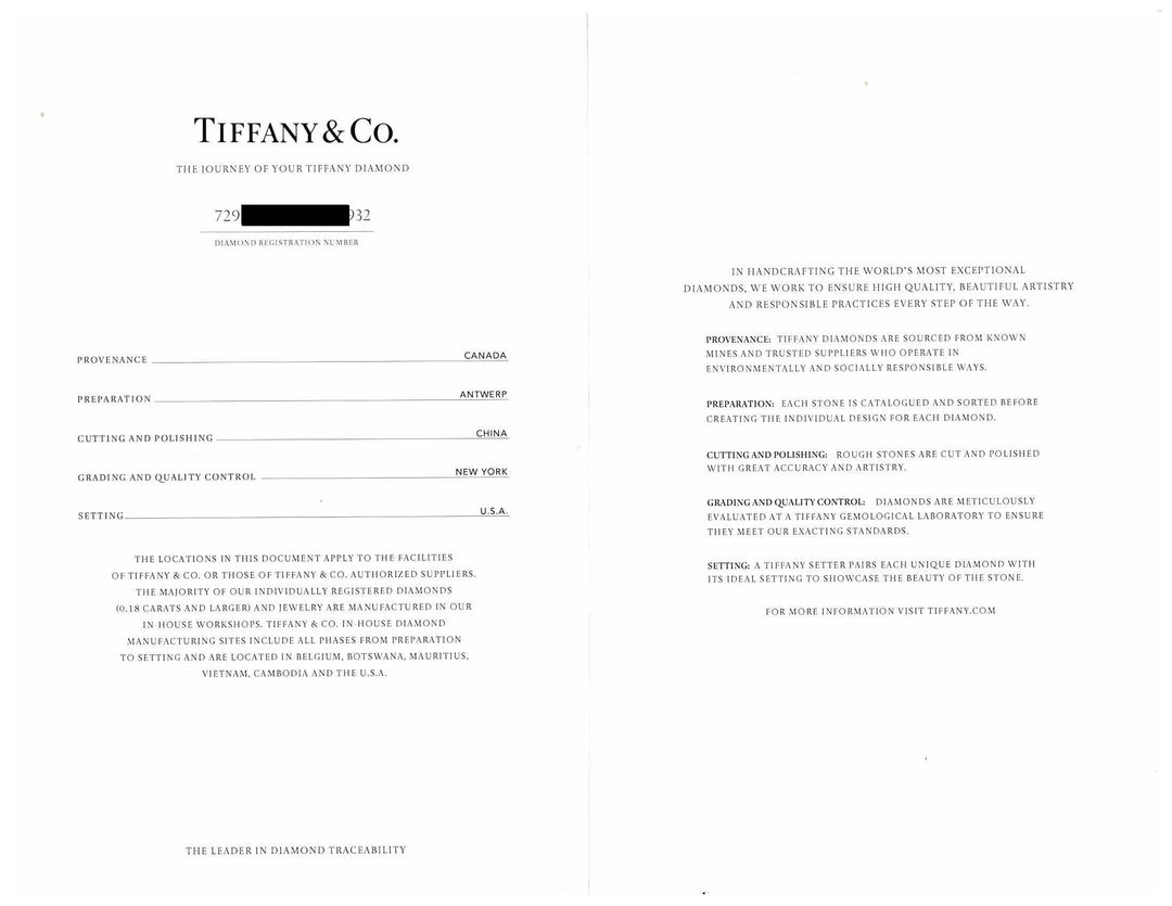 Tiffany & Co. Platinum .95ct E VS2 Oval Diamond Engagement Ring