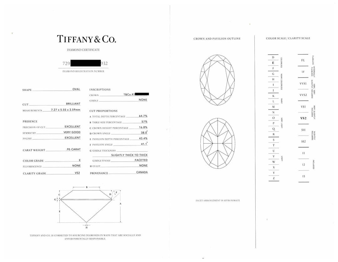 Tiffany & Co. Platinum .95ct E VS2 Oval Diamond Engagement Ring