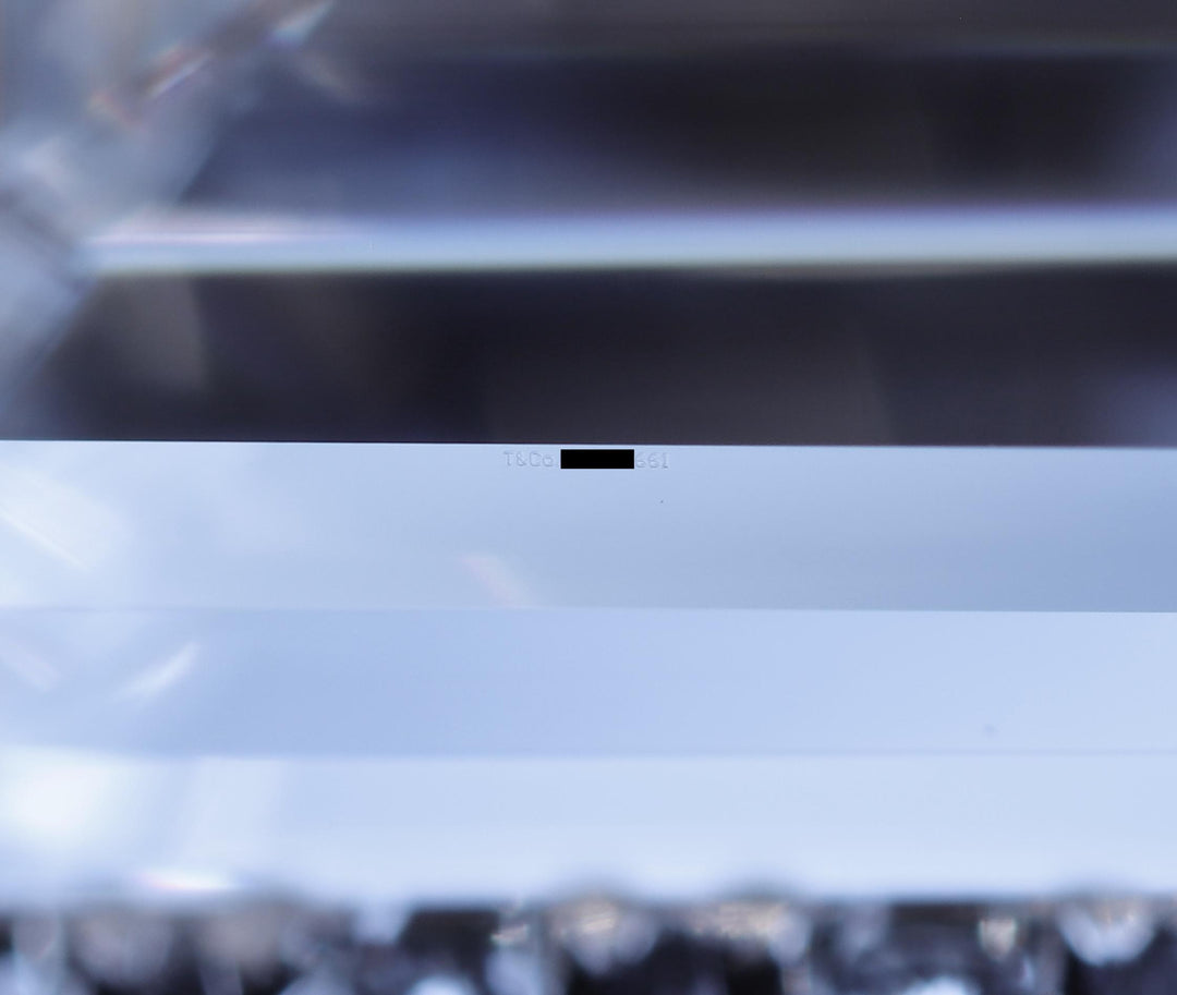 Tiffany & Co. Soleste 1.12 Ct Center Emerald Cut Halo Engagement Ring - F VVS2