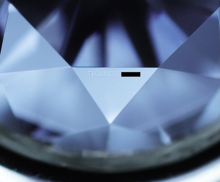 Tiffany & Co. Elsa Peretti Solitaire Diamond by the Yard 18K Necklace 0.35 ct