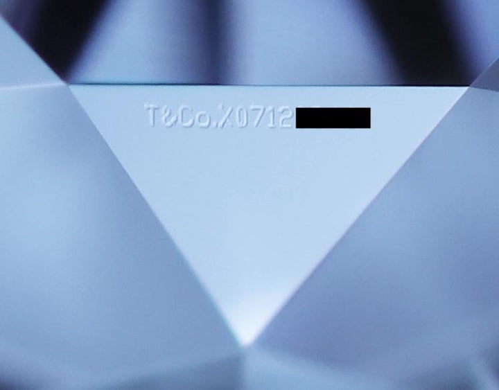 Tiffany & Co. Elsa Peretti Solitaire Diamond by the Yard 18K Necklace 0.35 ct