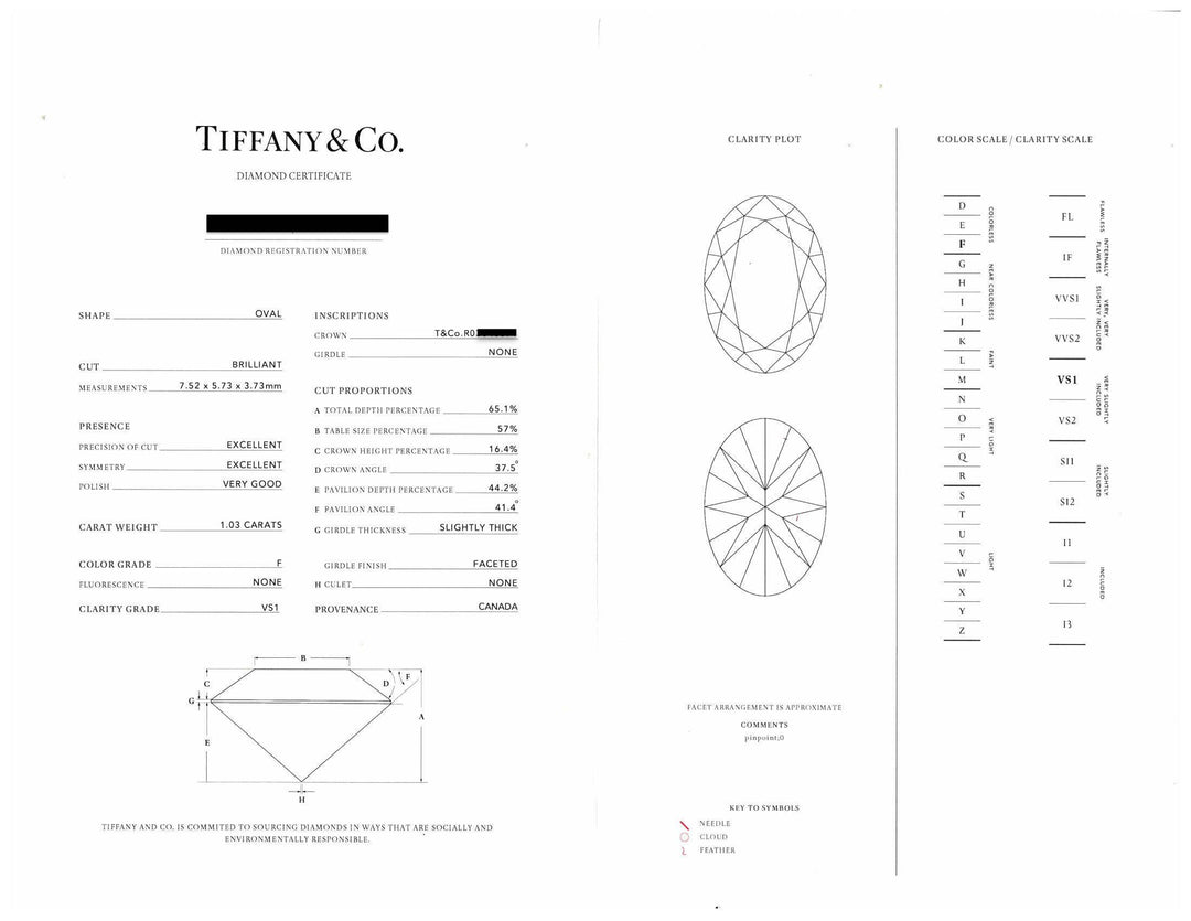 Tiffany & Co. Soleste Oval 1.03 Ct Cntr Diamond Engagement Ring Platinum F VS1