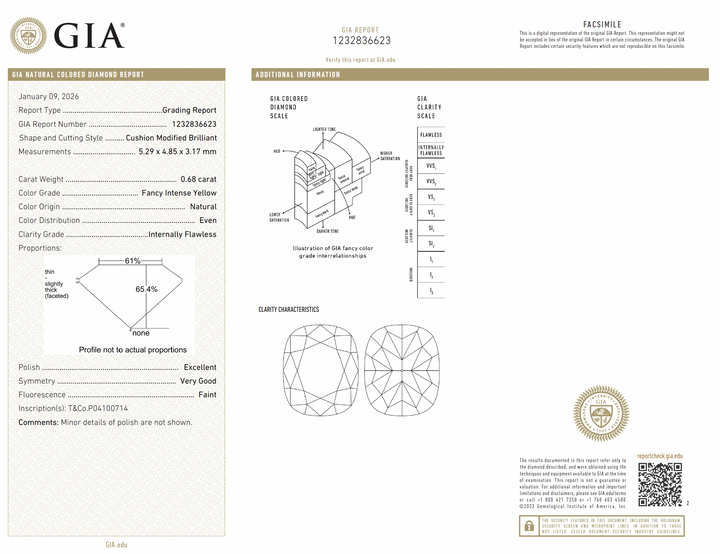 Tiffany & Co Platinum Soleste Intense Fancy Yellow .68Ct Internally Flawless Center Cushion Diamond Engagement Ring